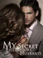 My Secret Billionaire Husband webnovel cover