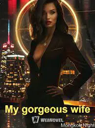 My gorgeous wife webnovel cover