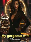 My gorgeous wife webnovel cover