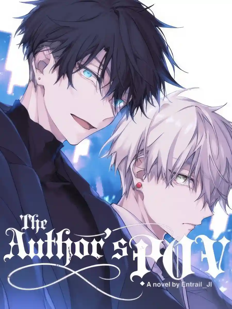 The Author's POV - Poster