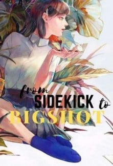 From Sidekick to Bigshot webnovel cover