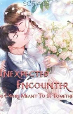Unexpected Encounter: They Were Meant To Be Together webnovel cover